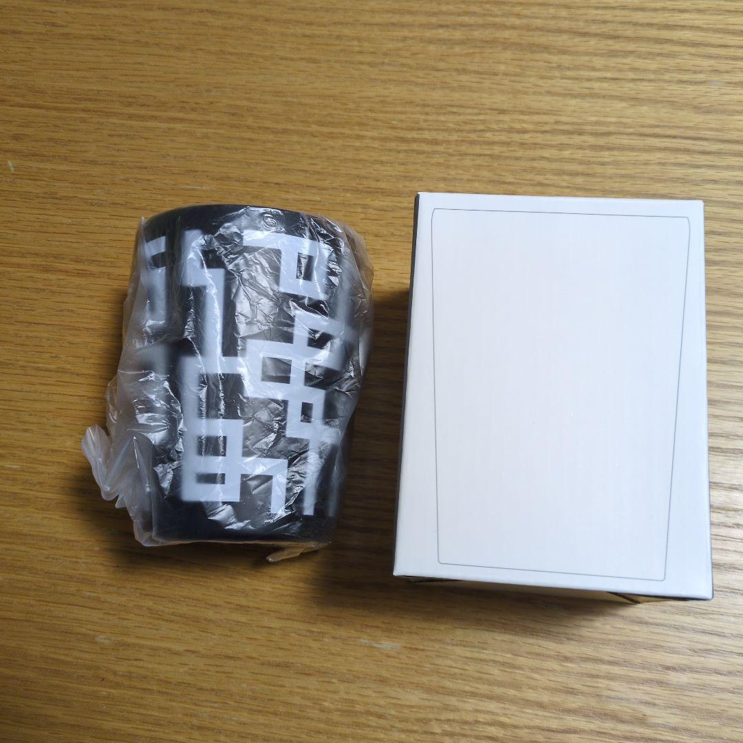 値下不可 布袋寅泰 HOTEI 45th CELEBRATION GIGS ⑪