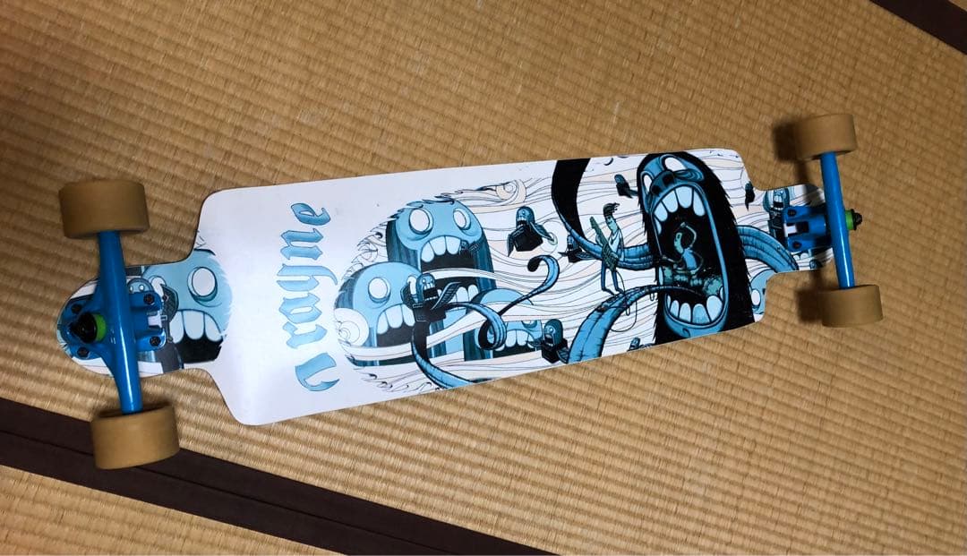 RAYNE ロングスケートボード ロンスケ 送料込 カナダ製