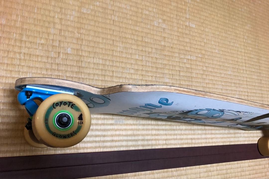 RAYNE ロングスケートボード ロンスケ 送料込 カナダ製