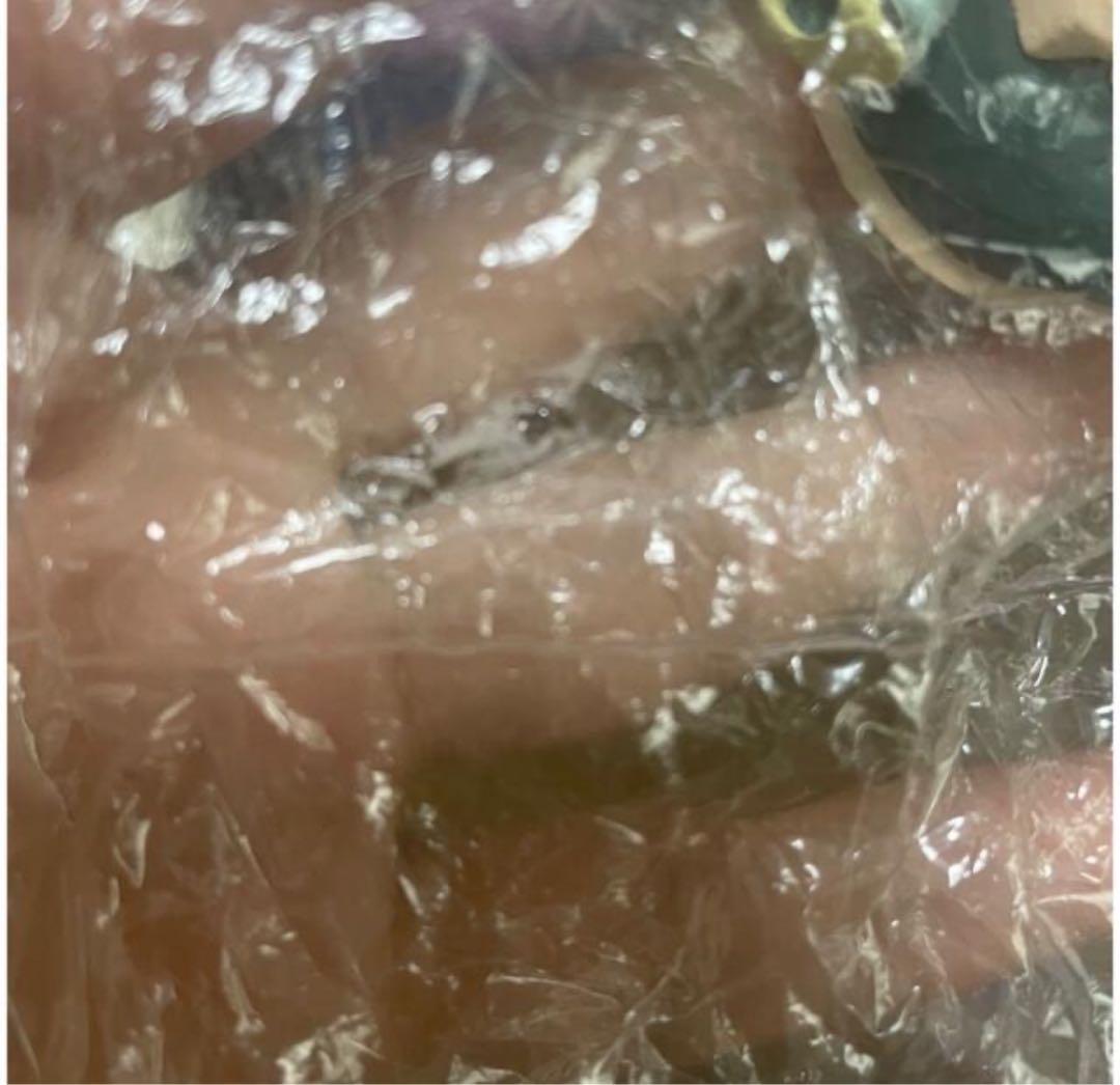 はじまりは四星球　メモリーズ編　じっちゃん　ドラゴンボールカプセル　ドラカプ