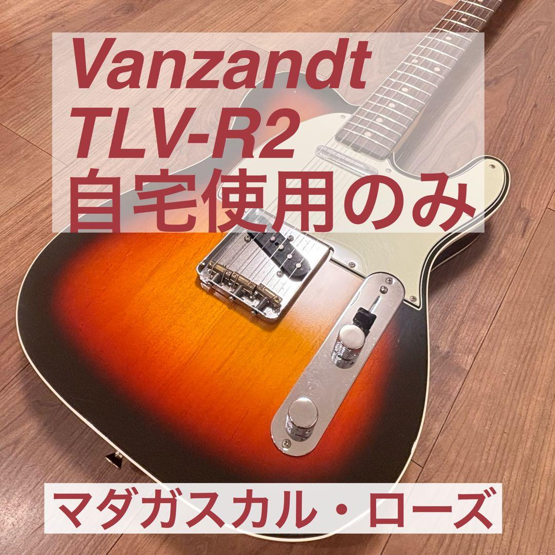 Vanzandt TLV-R2 【マダガスカルローズ指板】美品