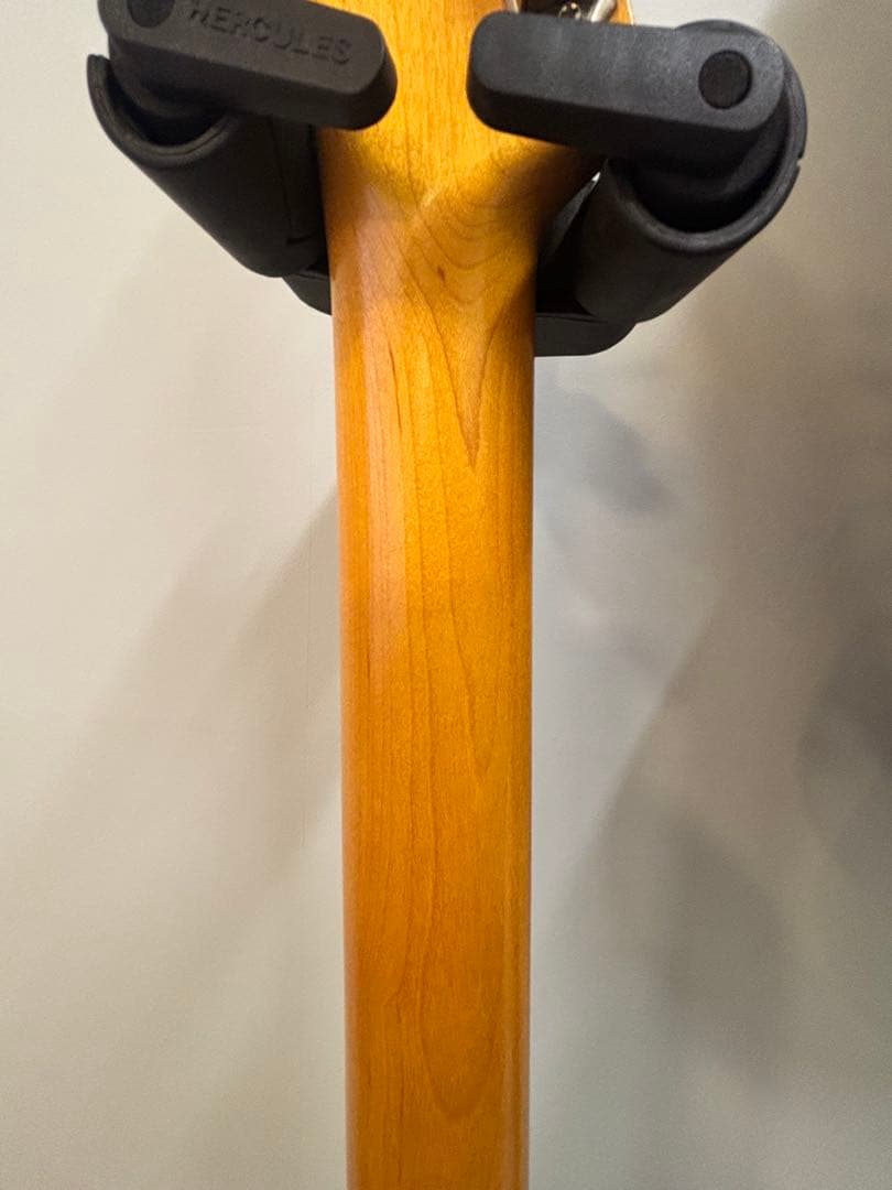 Vanzandt TLV-R2 【マダガスカルローズ指板】美品