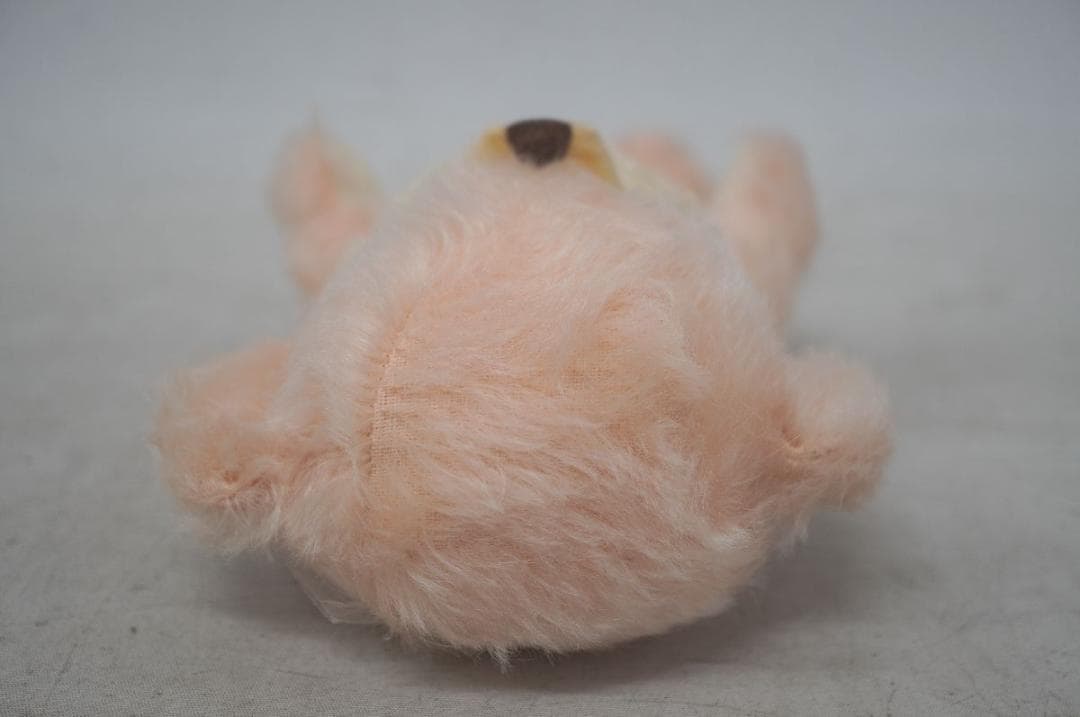 【M2512-4】メリーソート テディベア チーキー 60/100 レース