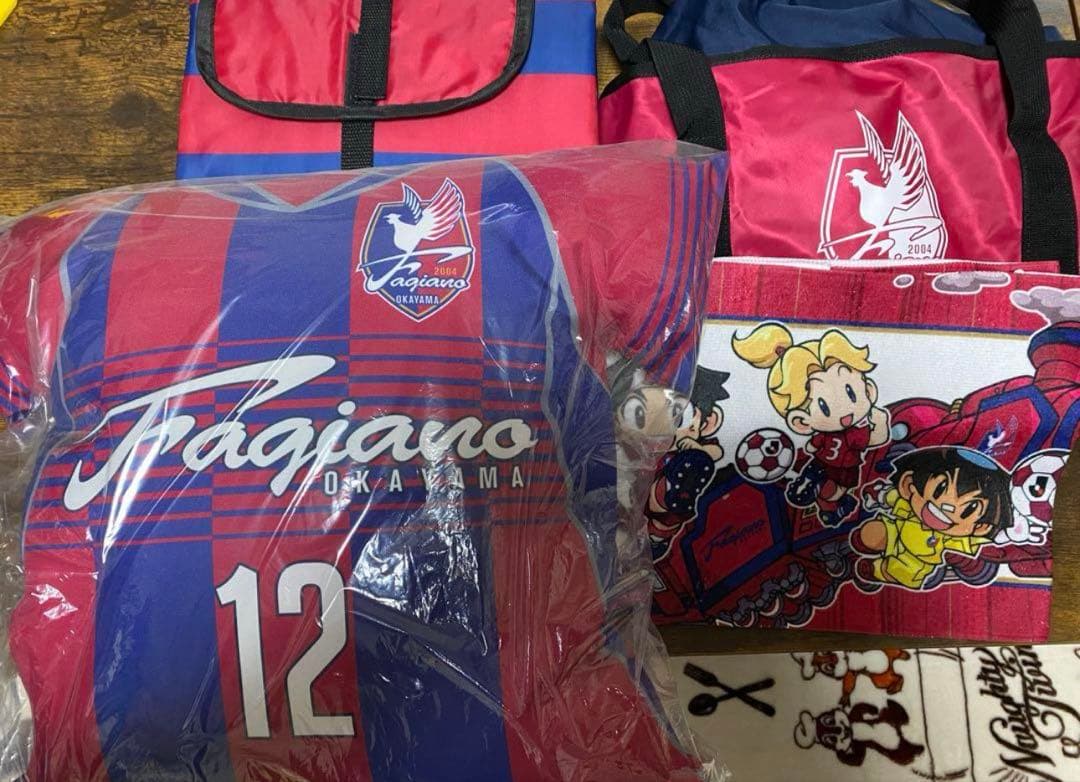 ファジアーノ岡山 ファジ丸 ビッグ ぬいぐるみ レジャーシート クッション など