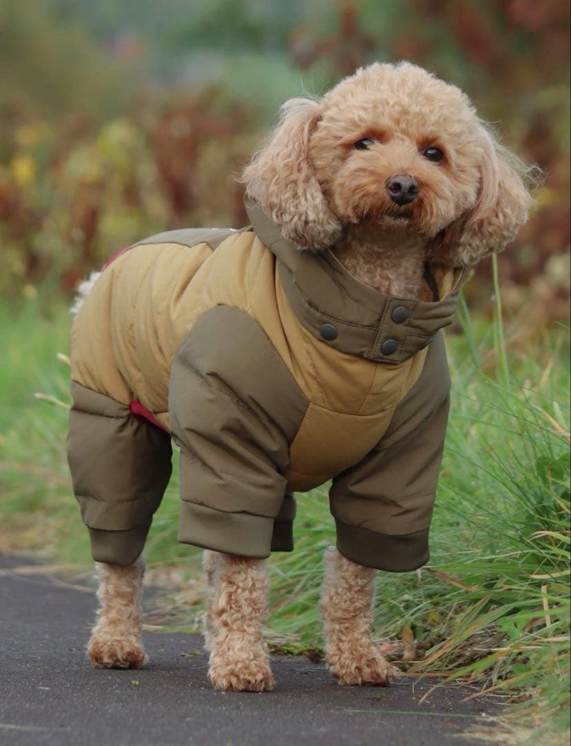  peak AmenityDome 犬用ダウンジャケット 中型犬用　4L