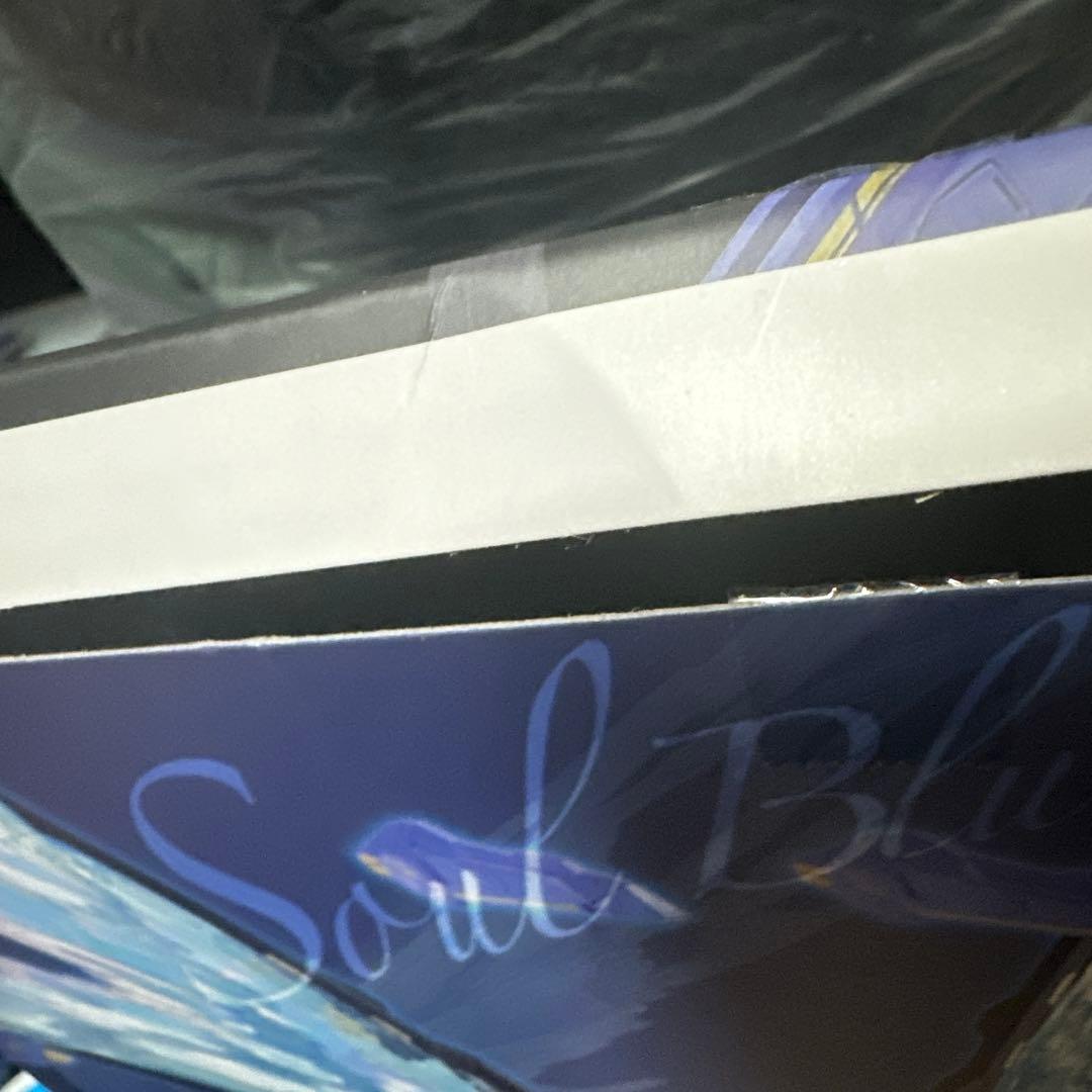 L BUILDストライクフリーダム+光の翼SOUL BLUE セット