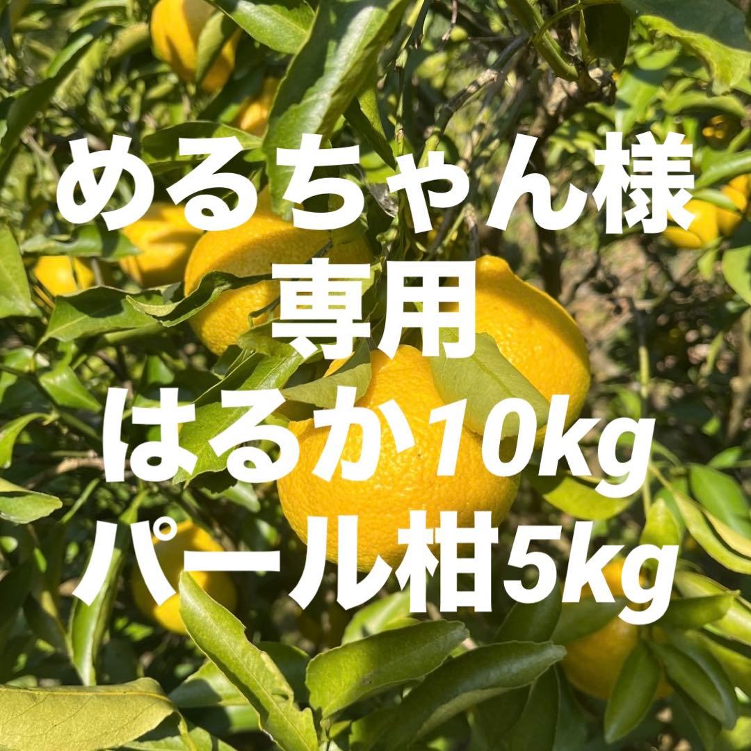 めるちゃんはるか10kg、パール柑5kg