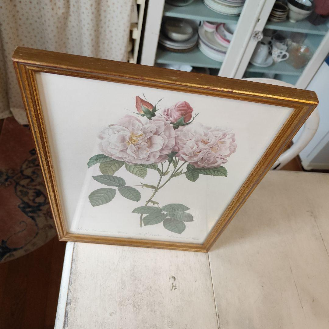 ボタニカルアート 植物画 アンティークフレーム入り