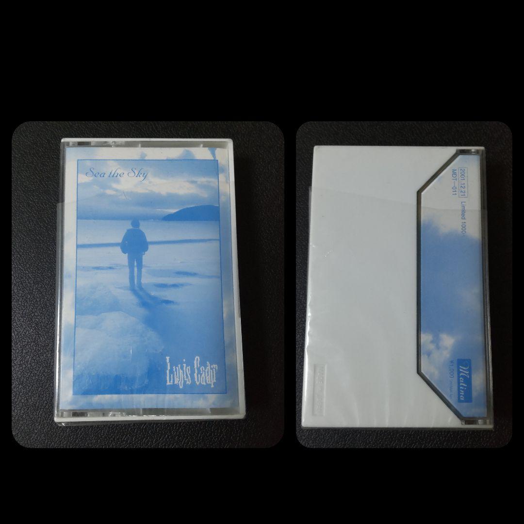 レア★12012/Lubis CadiaDVD&CDなど11点★V系/宮脇渉