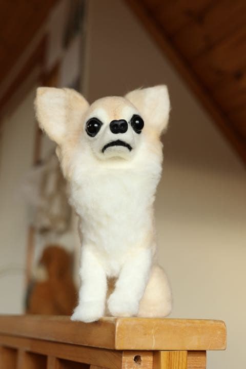 羊毛フェルト　ロングコートチワワ