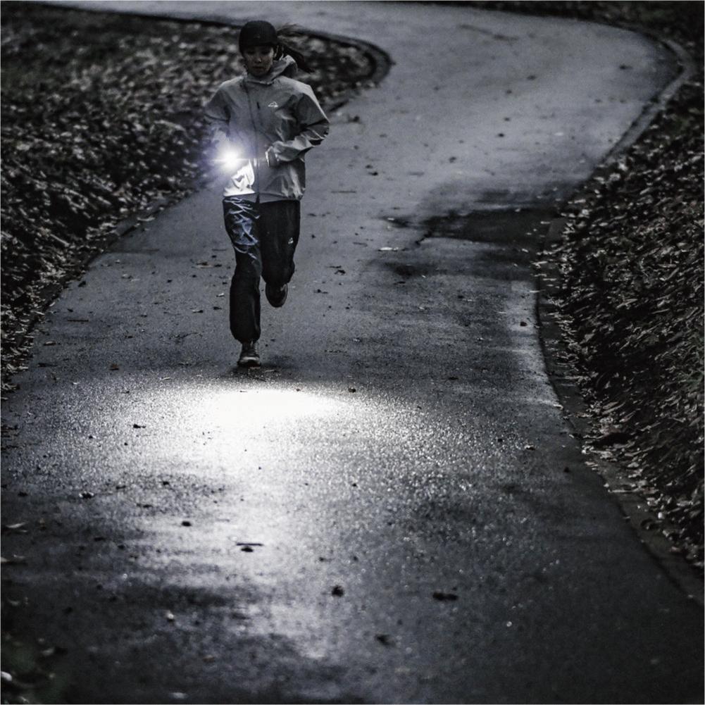 新品 未開封 マイルストーン ルートファインダー 専用充電池 セット