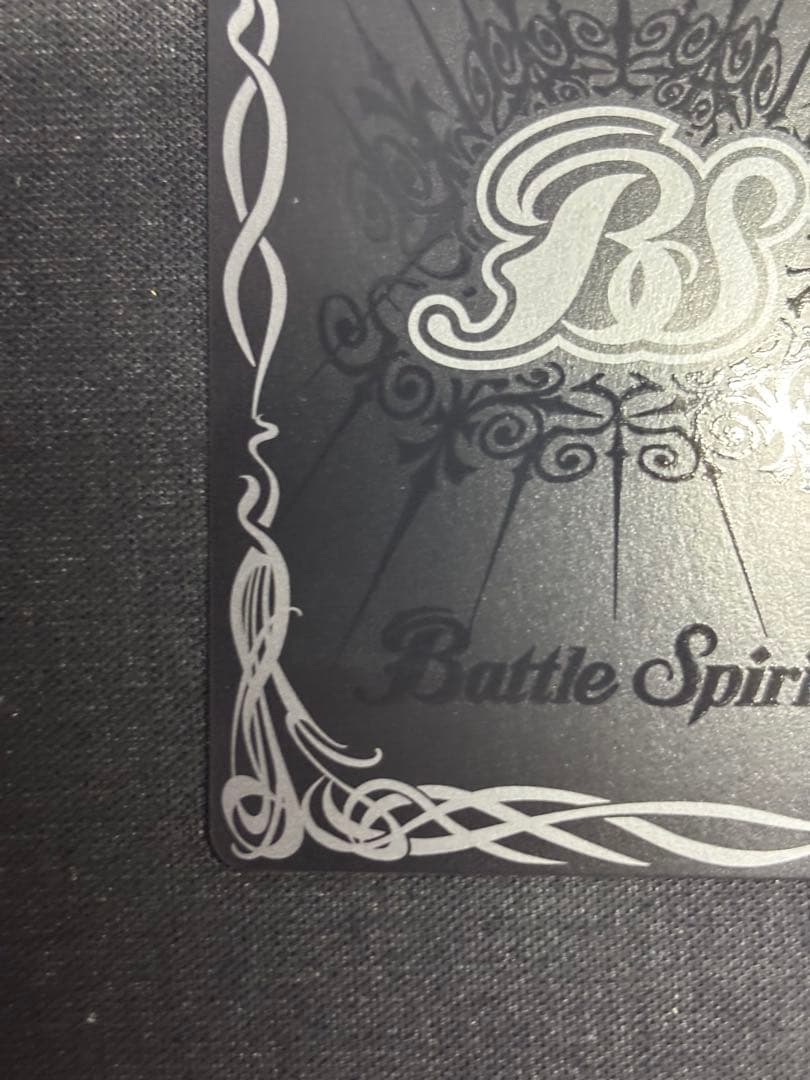 ［ずっと一緒に］レイオーバ　シークレット　10th secret