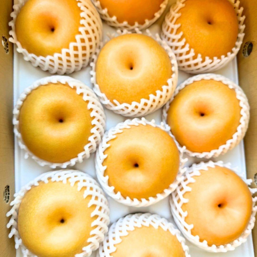 梨　新高梨　40玉　　01