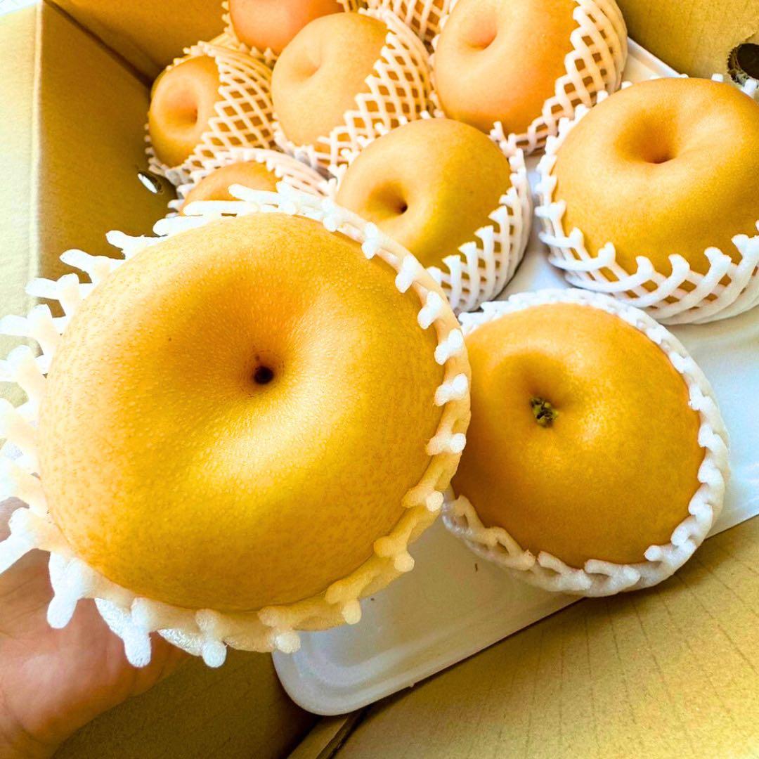 梨　新高梨　40玉　　01