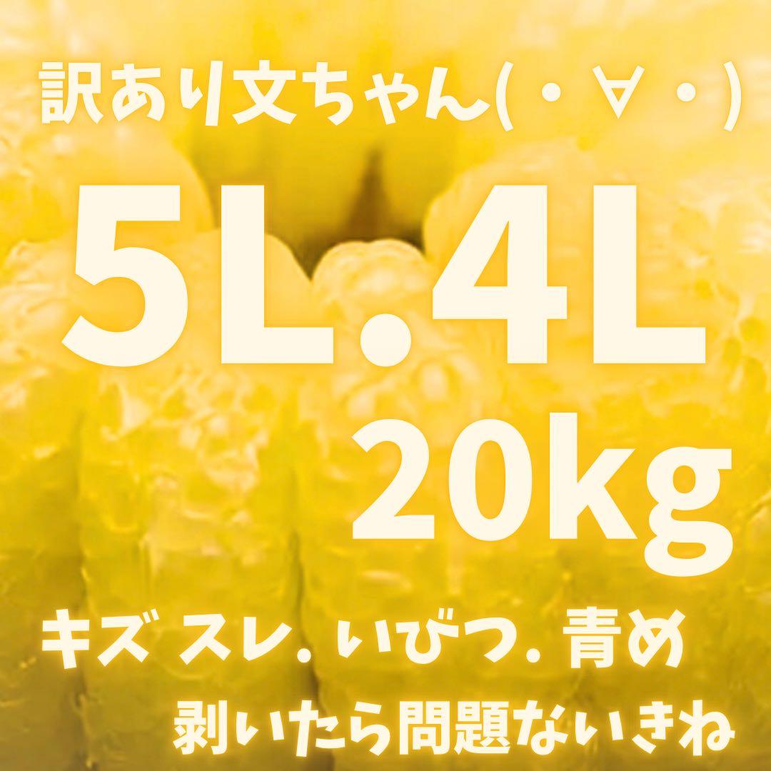 文旦　水晶文旦　みかん　好きに　　61