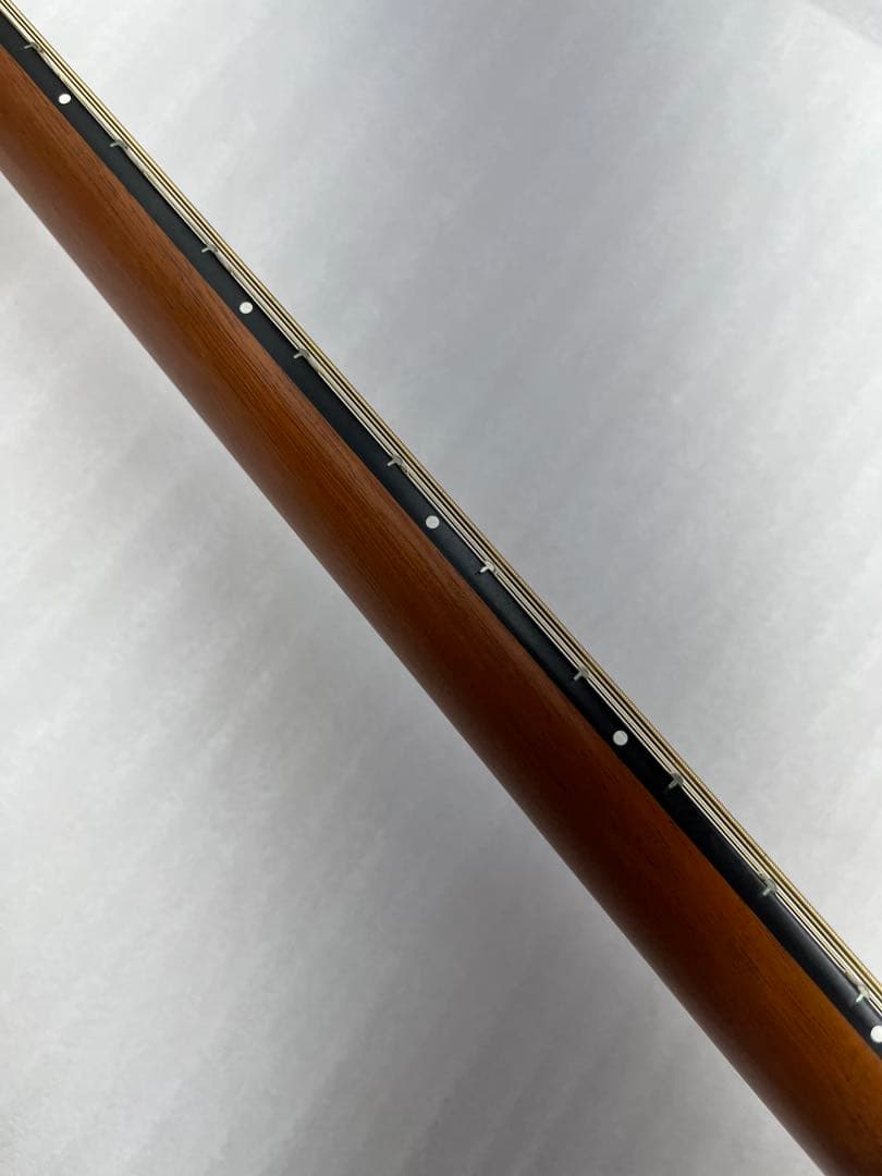 【ハードケース付】 Godin A6 Ultra cognac burst