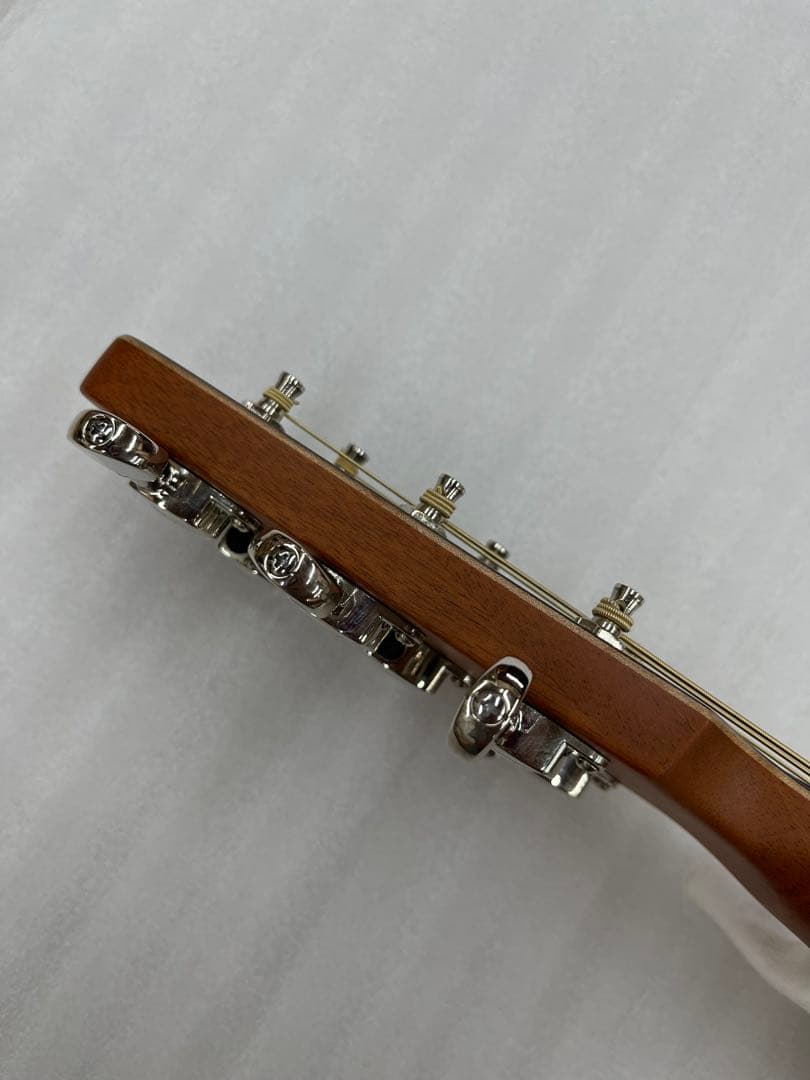 【ハードケース付】 Godin A6 Ultra cognac burst