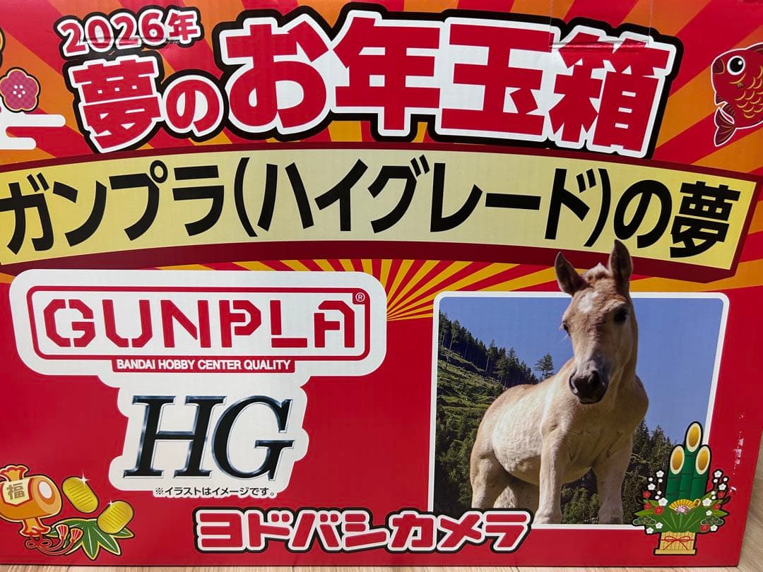 ヨドバシ福袋　ガンプラの夢　HGの夢　一部工具無