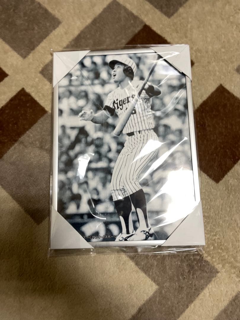 タイガース選手 モノクロ写真 A4サイズ岡田彰布さん