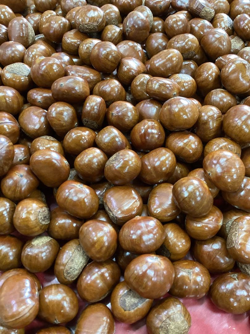 【りんりんko】　　ビックサイズ‼️焼きたて‼️天津甘栗5キロ入り