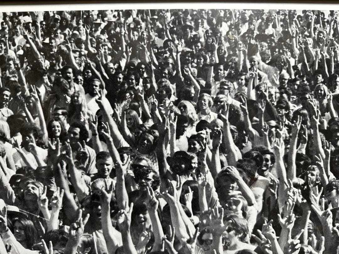 1969年　ヴィンテージポスター　The Youngbloods Love