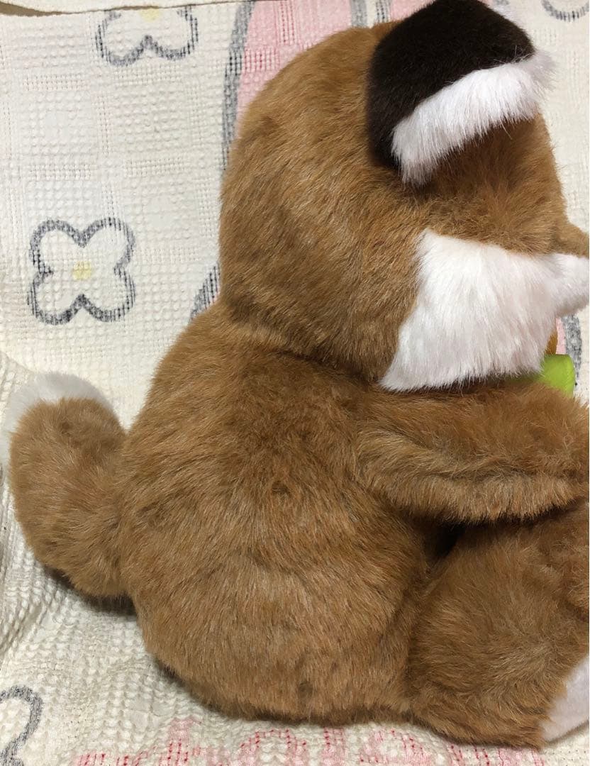 OIKE オオイケ　野菜物語　コーンキツネ　特大＆小　ぬいぐるみセット　中古品