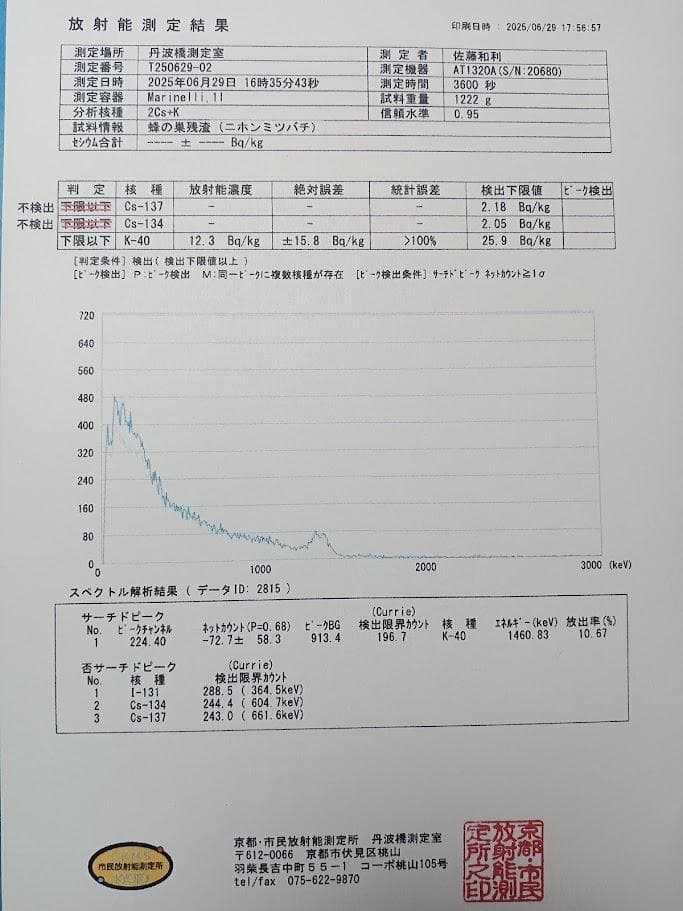 「二ホンミツバチのハチミツ　ファースト・ドロップ」600g×2本
