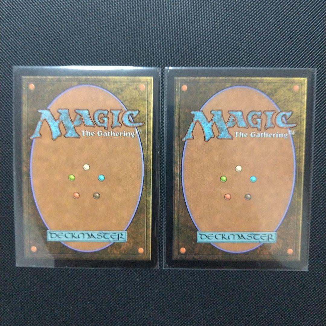 墨蛾の生息地 ２枚