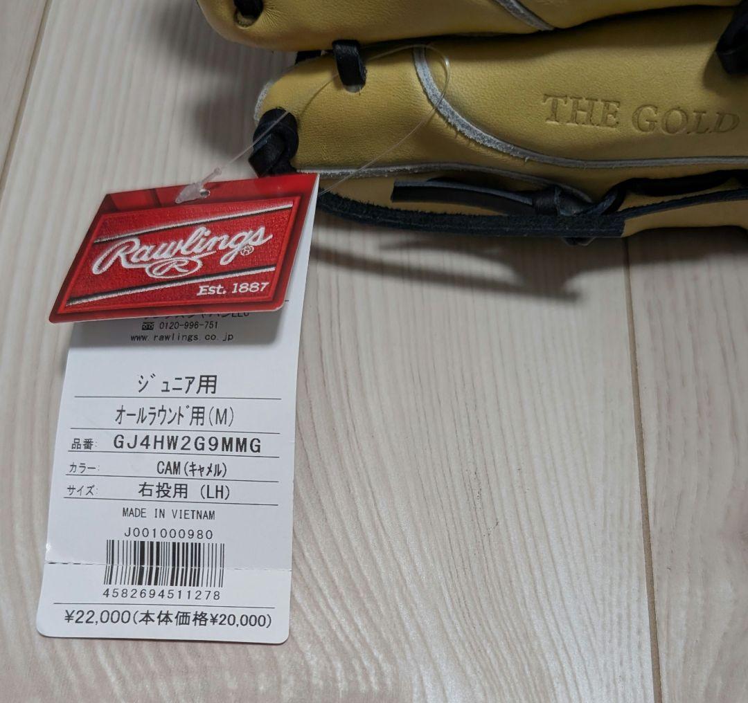 Rawlings　少年軟式用グローブ　プロエクセル