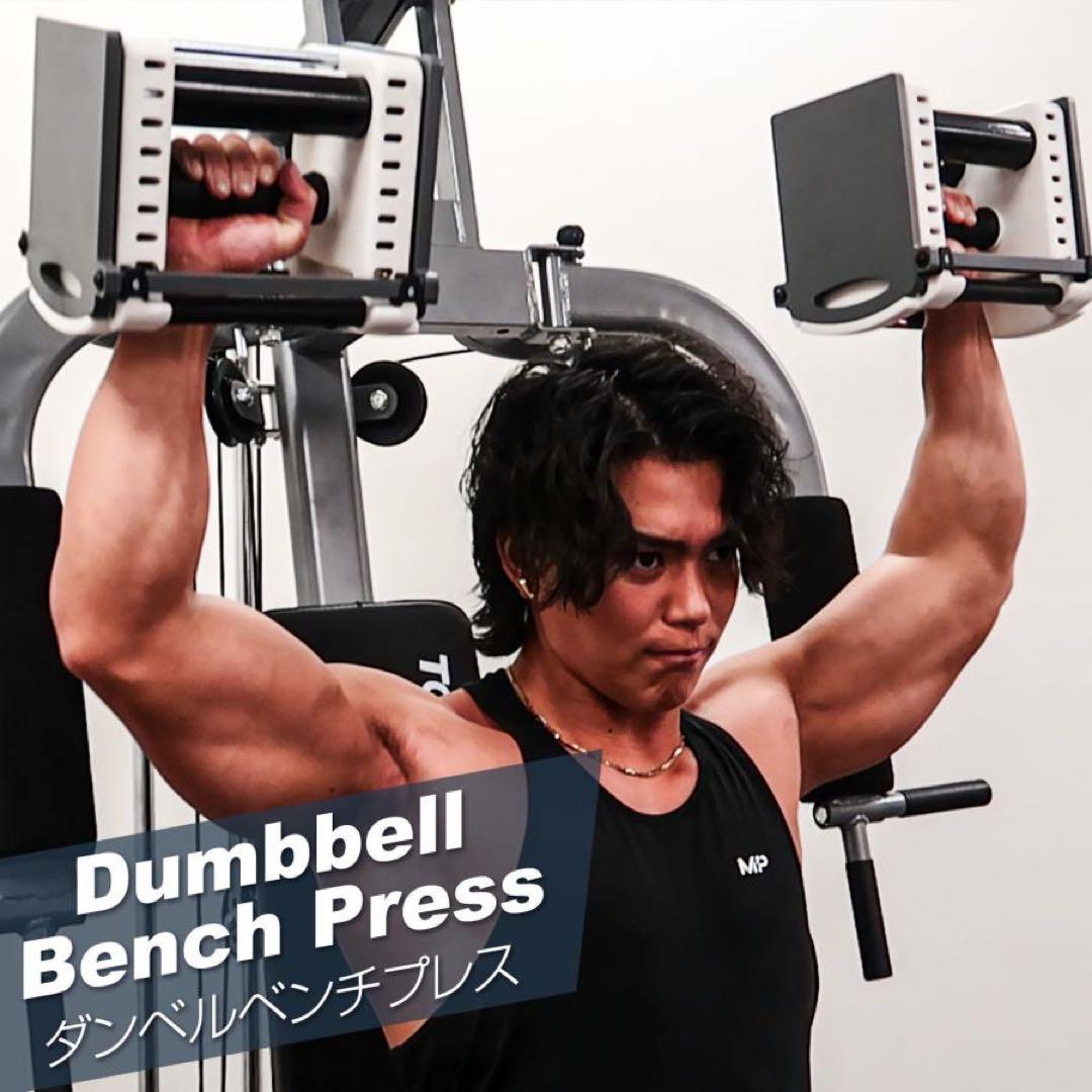 可変式ダンベル パワー ブロックダンベル 26kg 2個セット