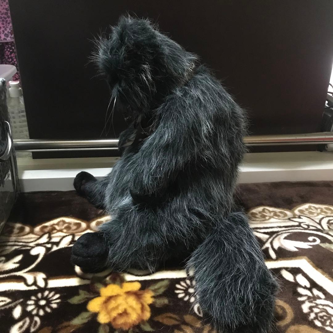 ココです❗️Cudolly カドリー　販売終了品　希少　入手困難❣️