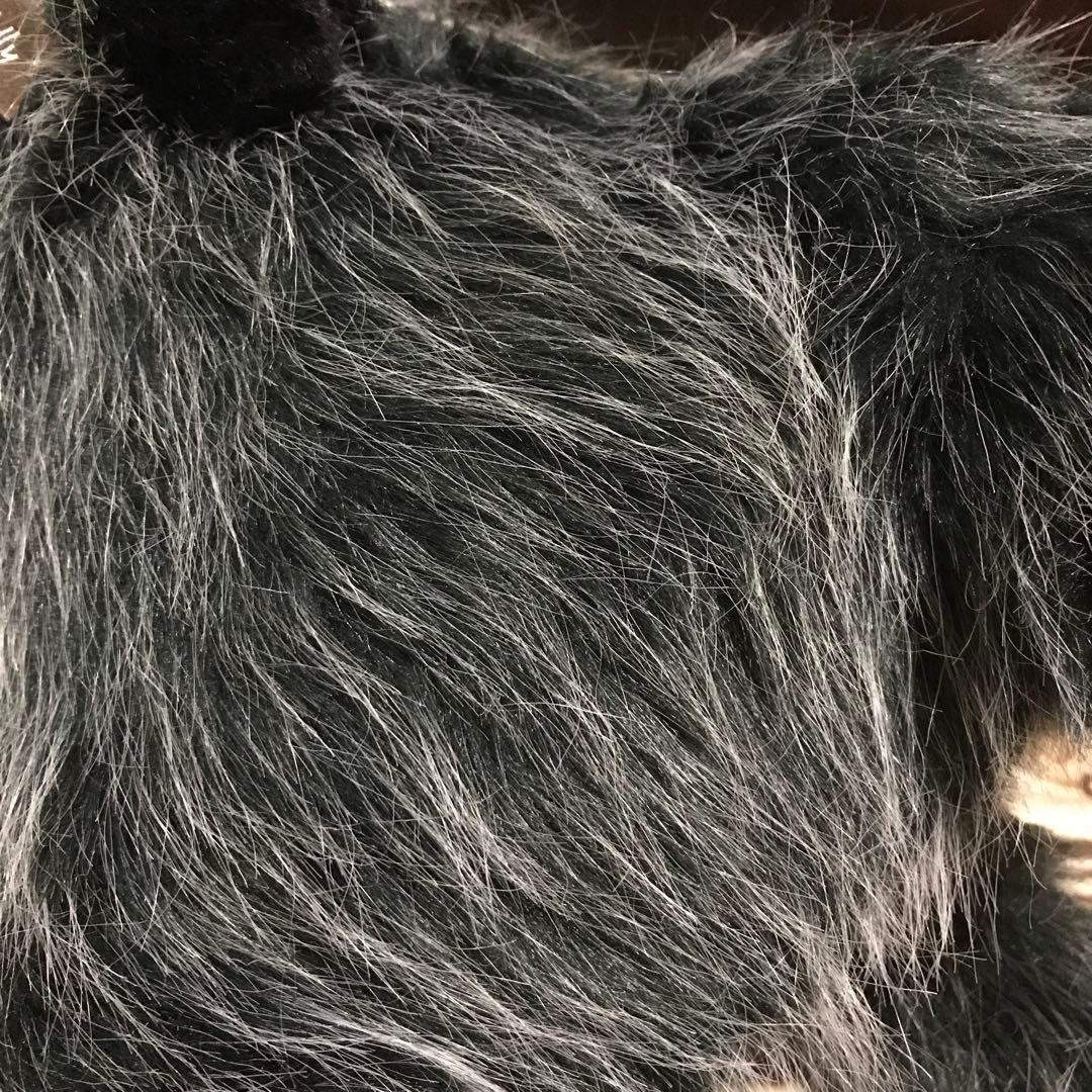 ココです❗️Cudolly カドリー　販売終了品　希少　入手困難❣️