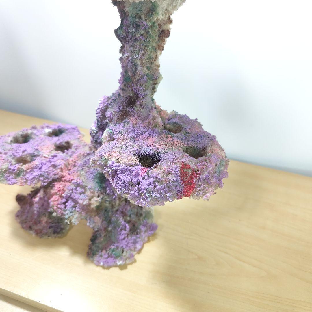 プラグ穴付き アク抜き不要人工ライブロック 海水水槽 レプリカ コーラルフラグ1