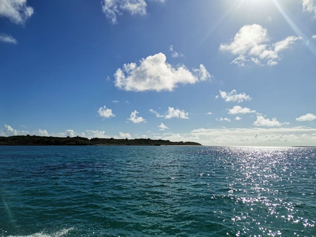 石垣島産　塩漬けもずく　20kg