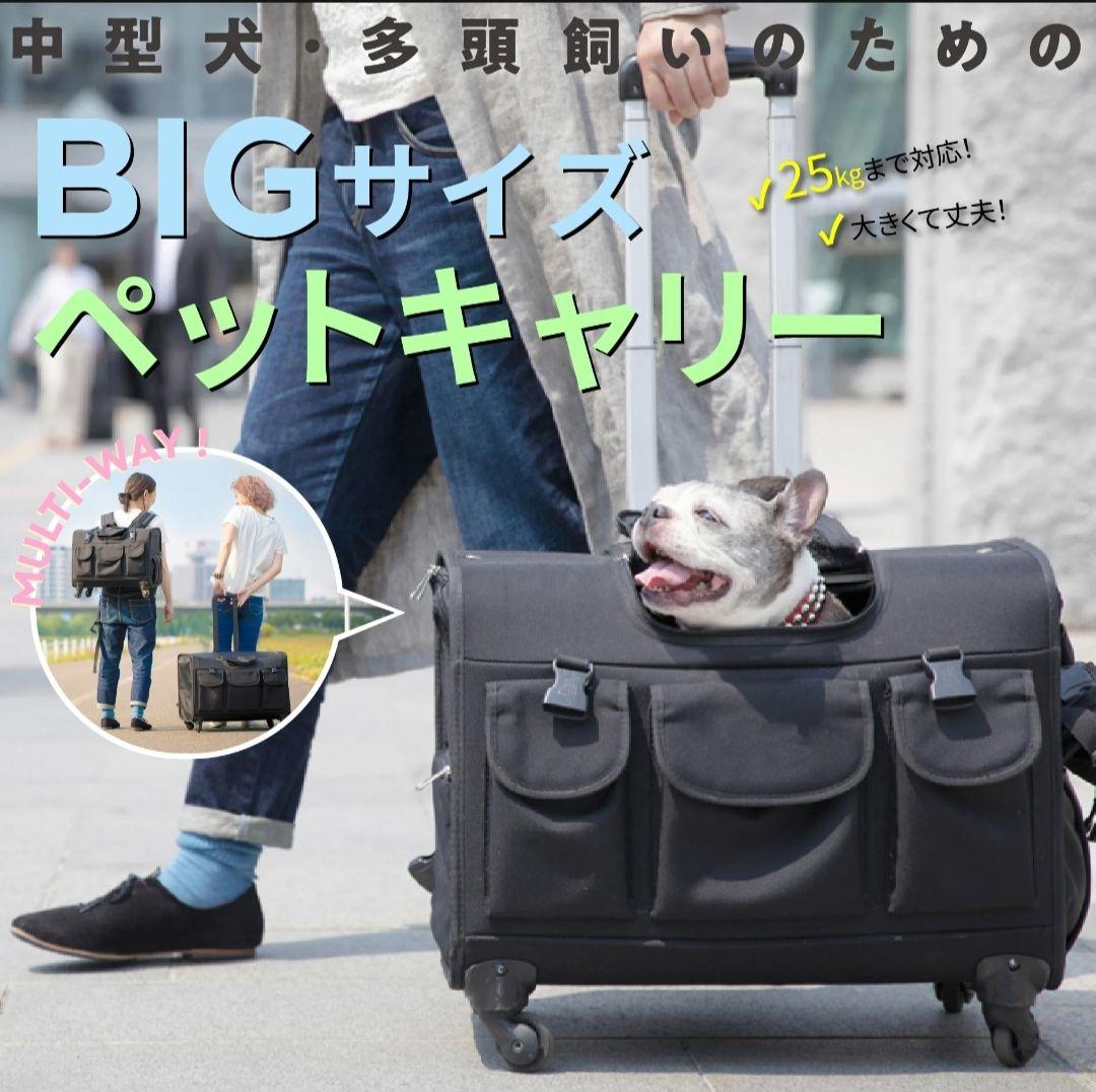 BIGサイズ ペットキャリー リュック