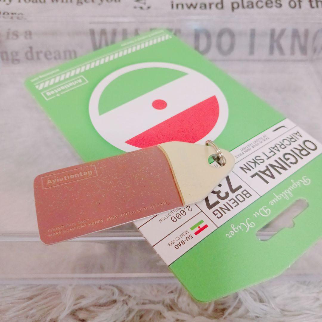 ☆実機外板☆ Boeing 737-200 Aviationtag レア 希少品
