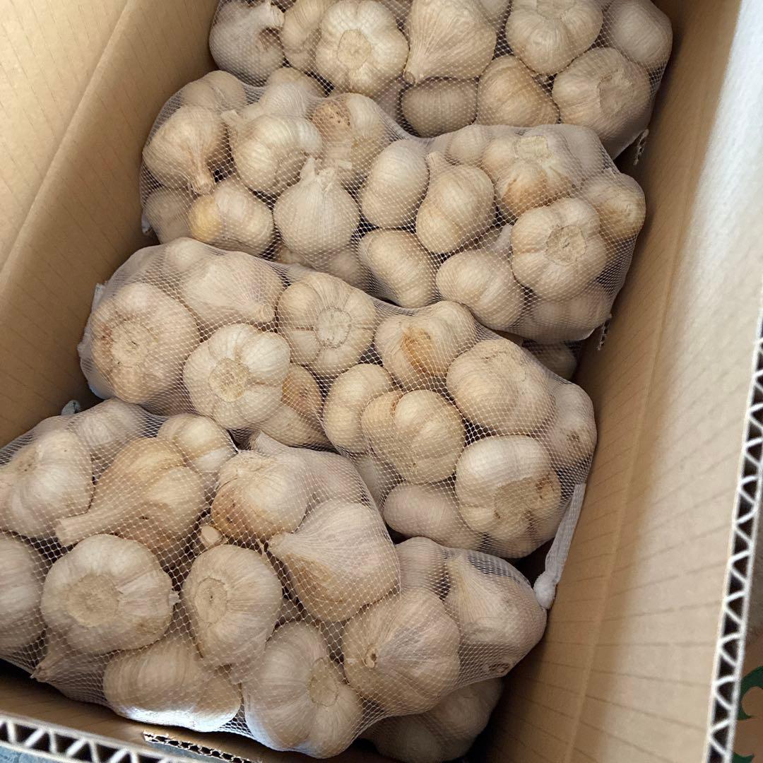 新物　青森県にんにく10Kg M 加工オスス