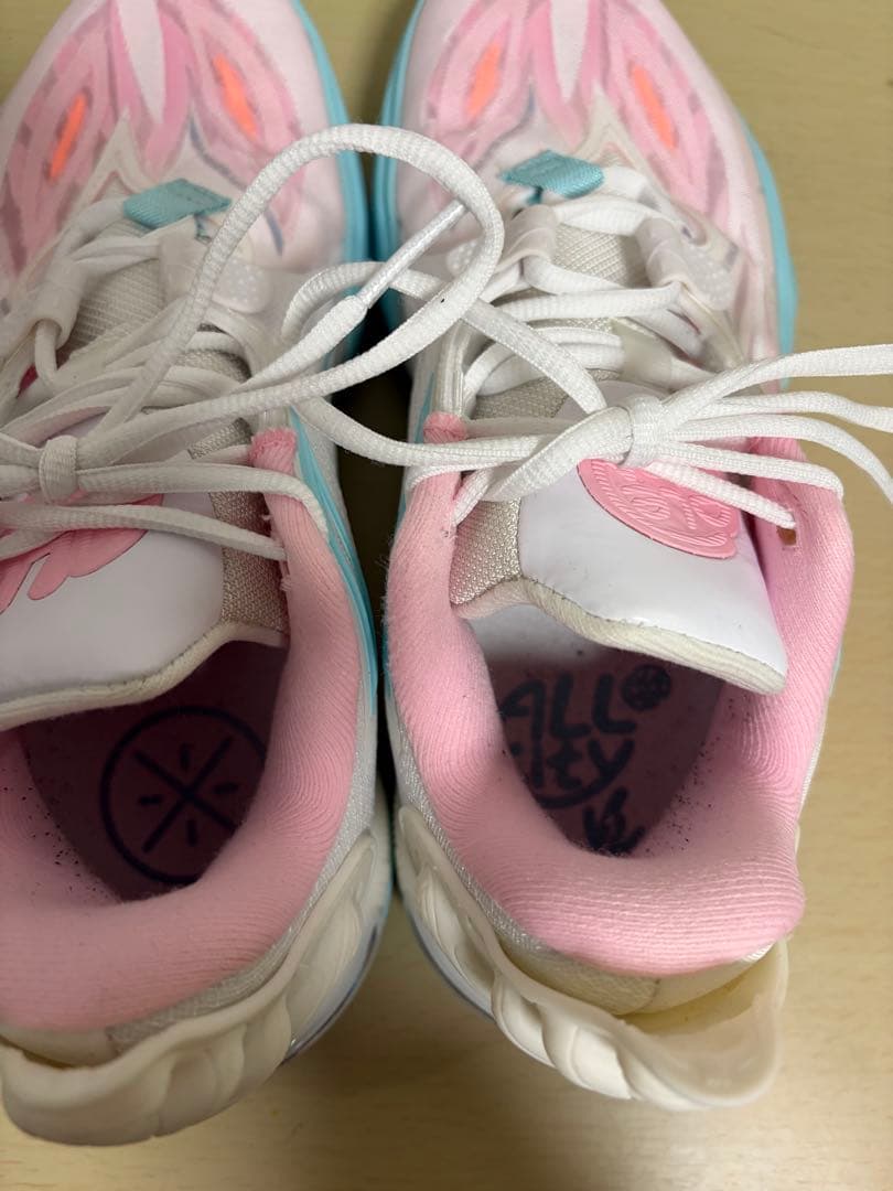 LI-NING Wade All City 11 24.5cm 美品