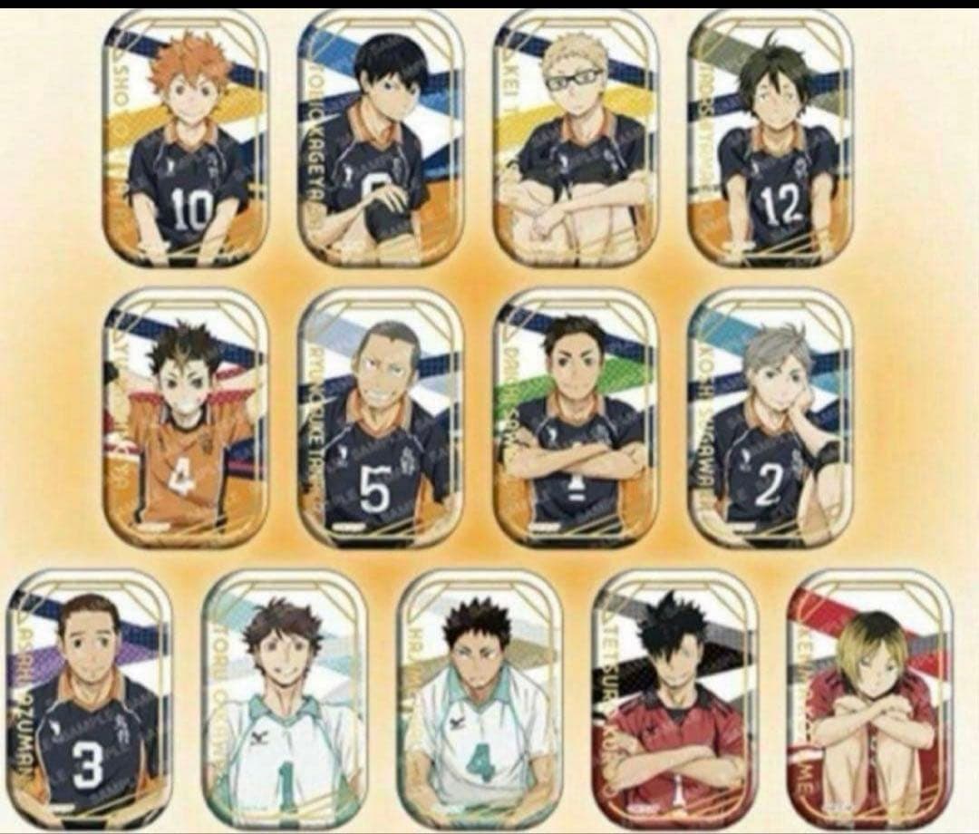 ハイキュー!! ピンバッジセット 2種