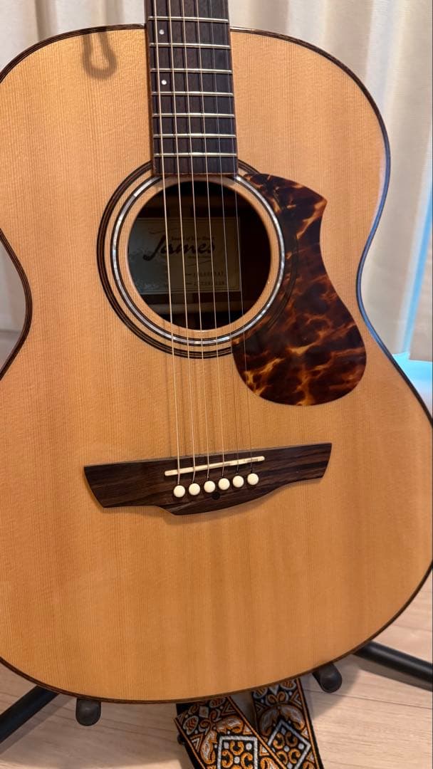 James J-800A 　オール単板仕ギグケース付き