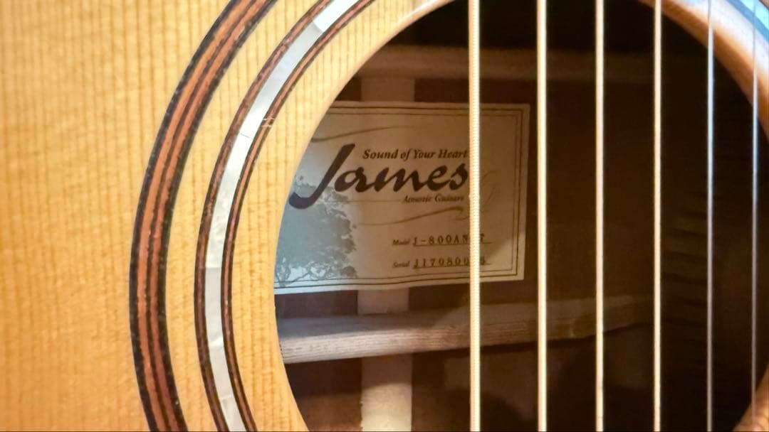 James J-800A 　オール単板仕ギグケース付き