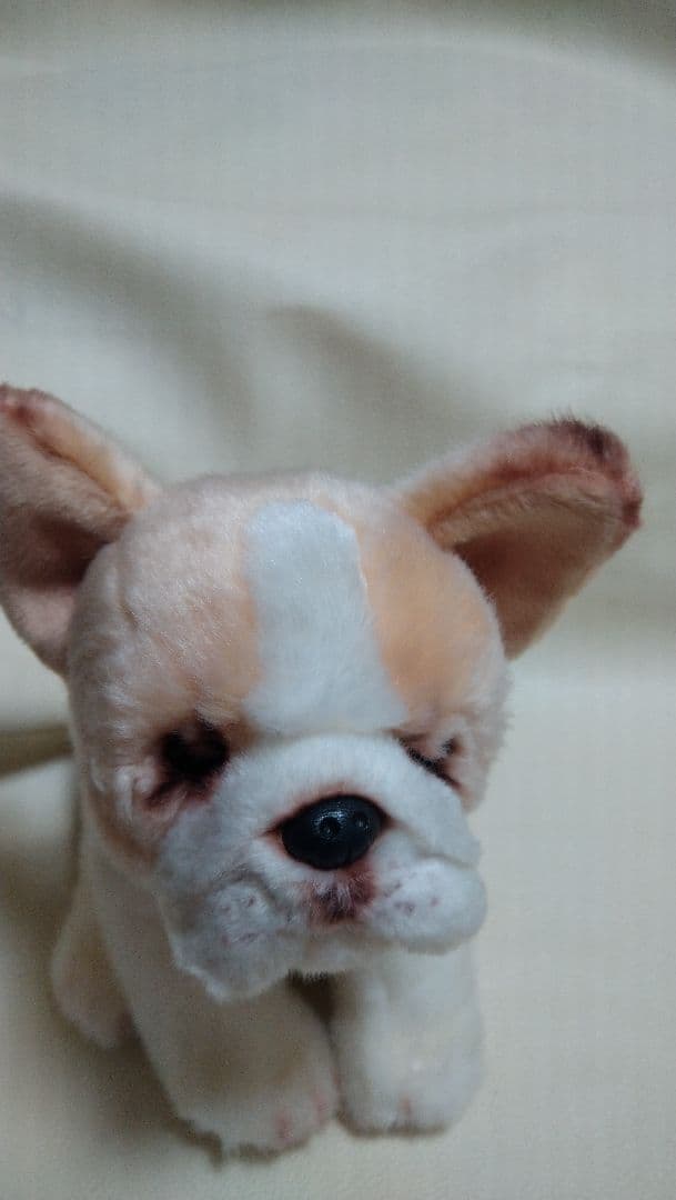 Natg JuIes ナッツ＆ジュール　DEMDACO社　激レア　こ858