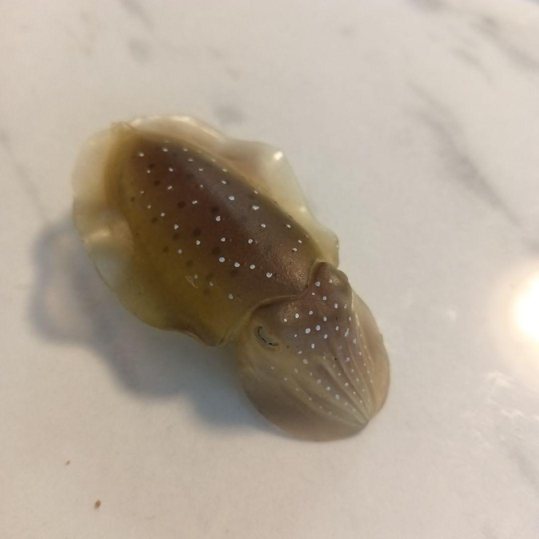 訳あり　ネイチャーテクニカラー　鳥羽水族館　立体コレクション　コブシメ