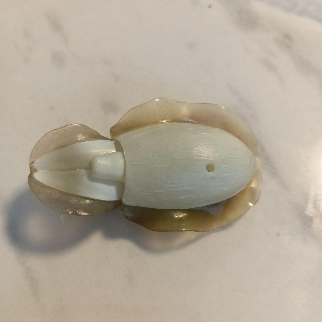 訳あり　ネイチャーテクニカラー　鳥羽水族館　立体コレクション　コブシメ