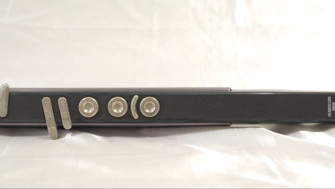 AKAI アカイ EWI3000 EWI3000m セット ソフトケース付き