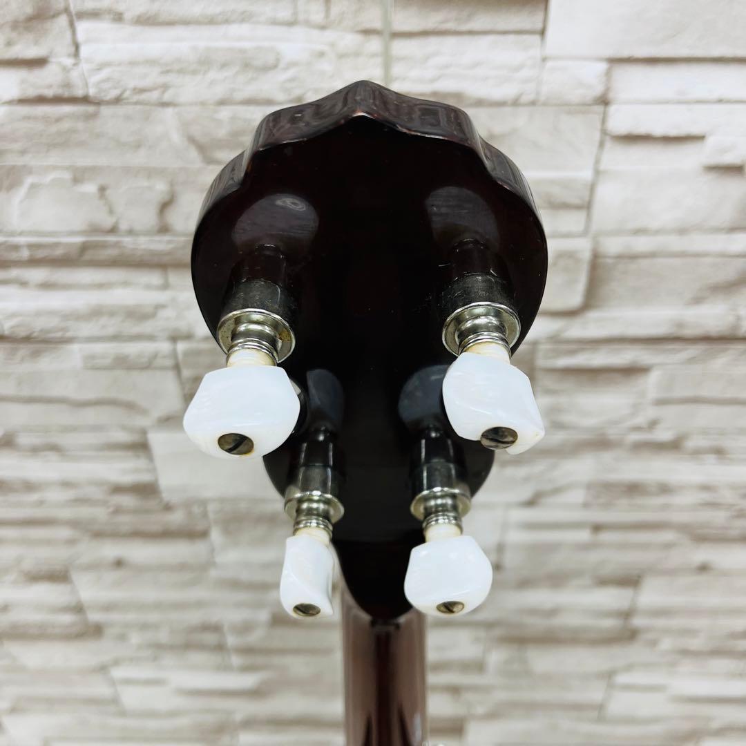 Aria アリア 5弦 バンジョー