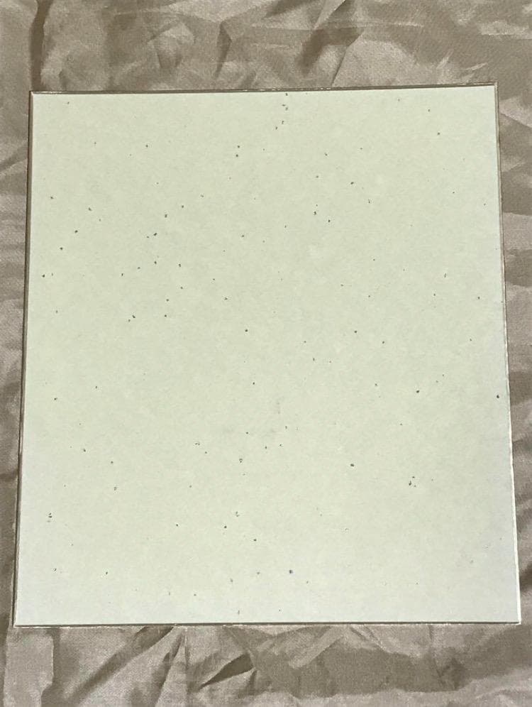 【本物！直筆サイン】河北麻友子（当時10代） ガールズアワード ViViモデル