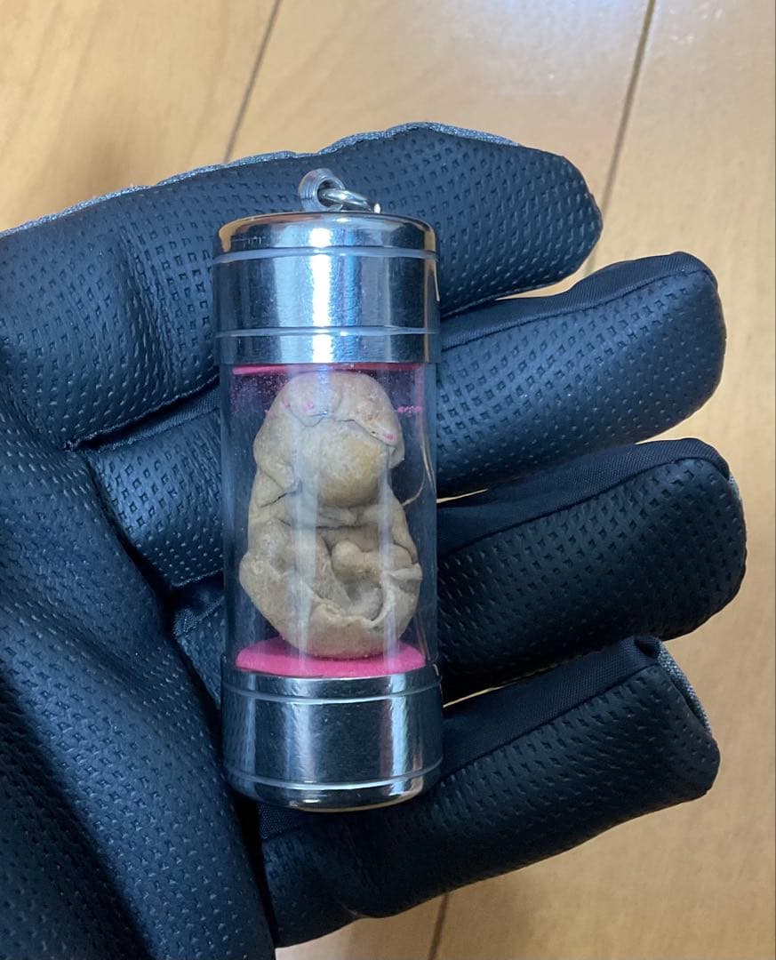 ◾️プラクルアン　お守り　胎児お守り◾️