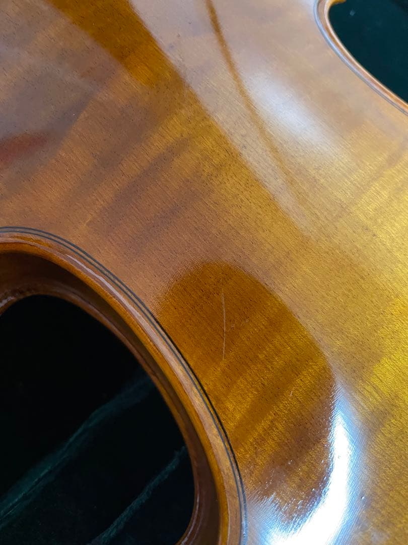 弦楽器 CARLO GIORDANO VS-2 4/4