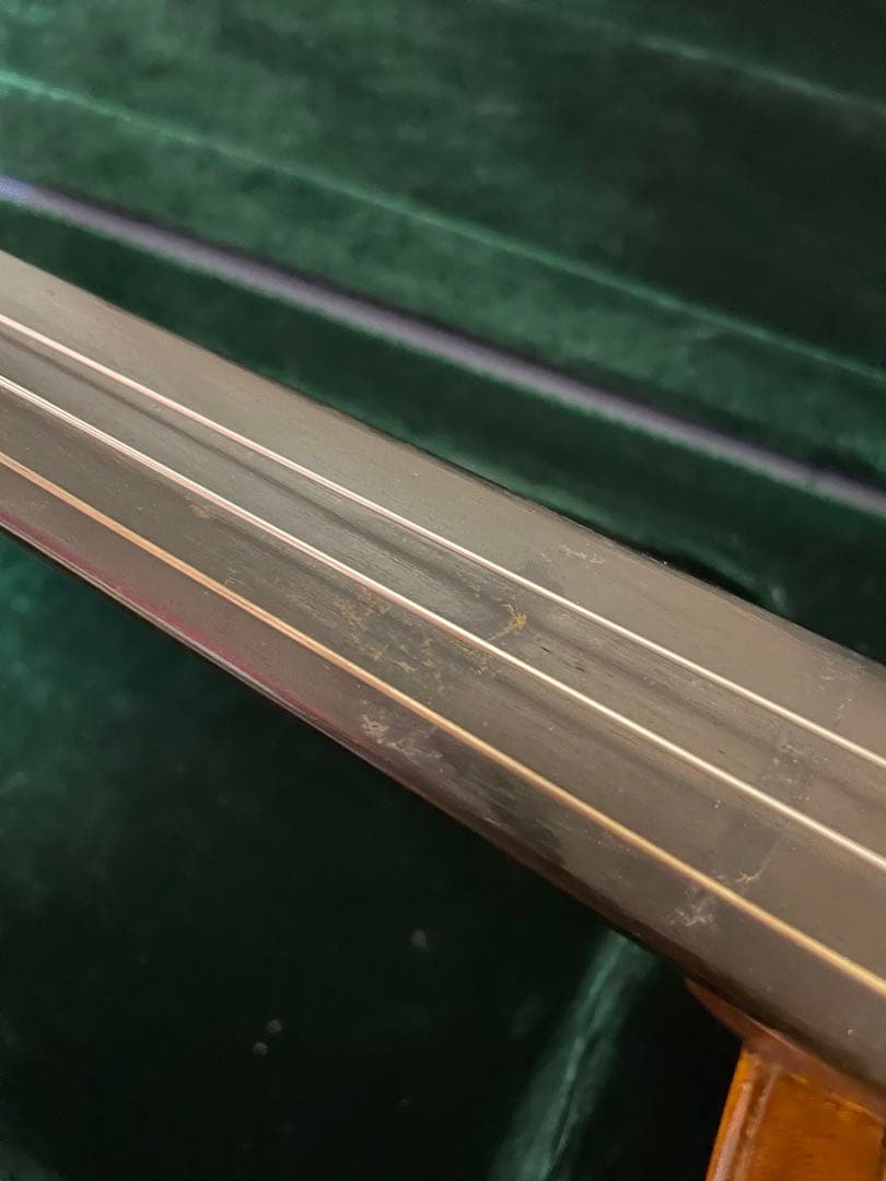 弦楽器 CARLO GIORDANO VS-2 4/4